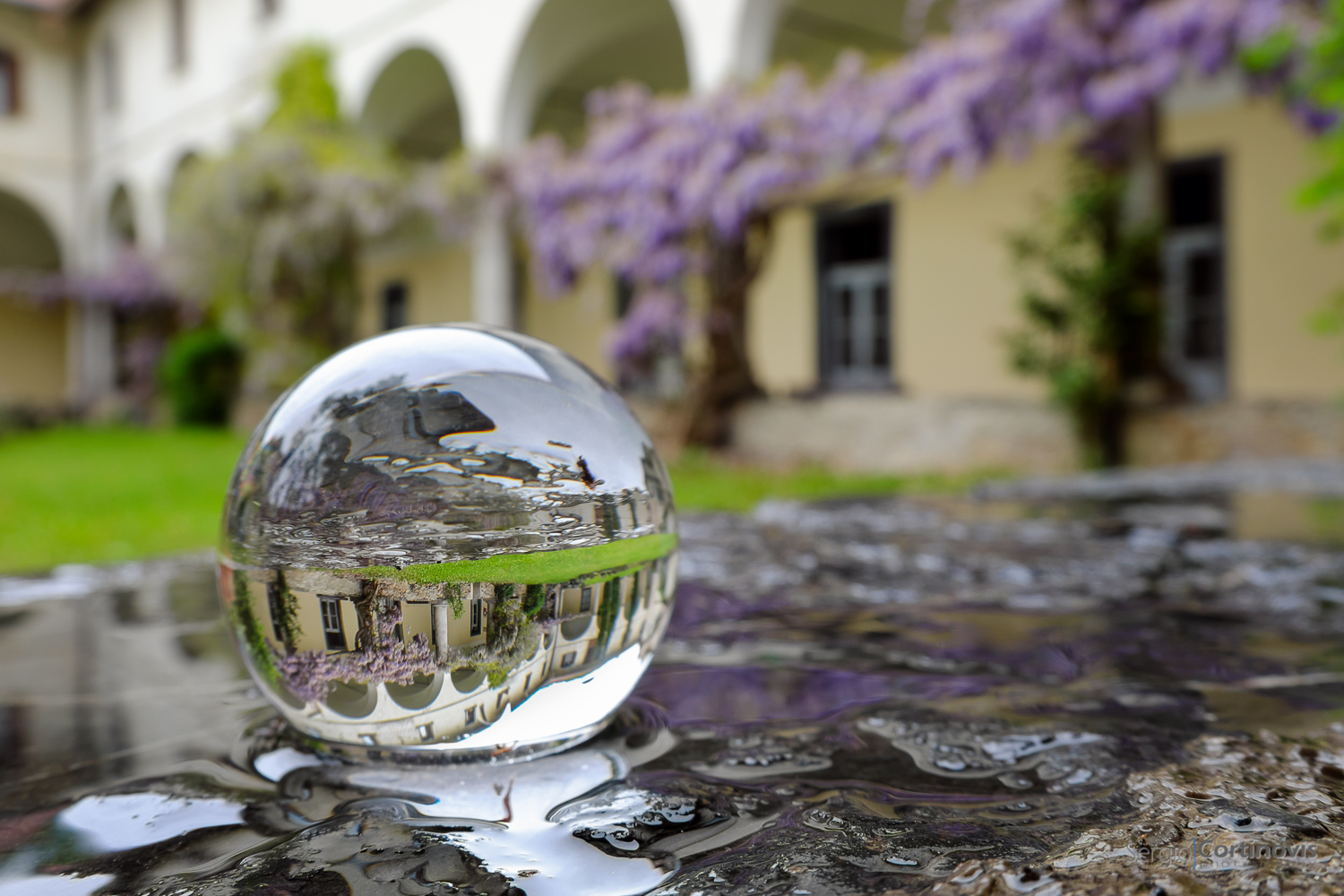 La lensball nel chiostro del convento di Serina, i fiori del glicine si riflettono nel vetro e nell'acqua