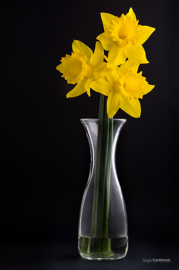 Fotografia di un piccolo mazzo di narcisi gialli in un vaso di vetro davanti ad uno sfondo nero