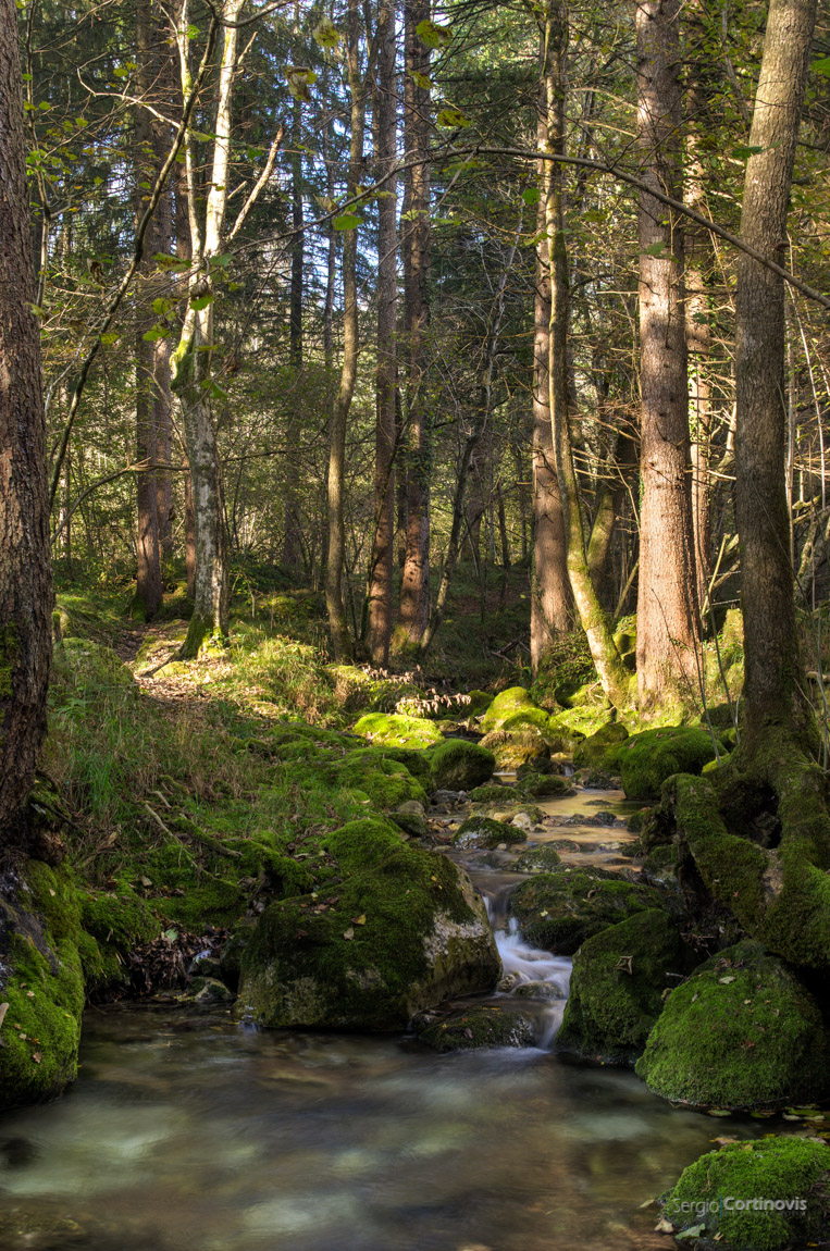 Il fiume che attraversa Passoni, frazione di Cornalba e si butta nel fiume Serina fotografato con la luce di un tardo pomeriggio d'autunno