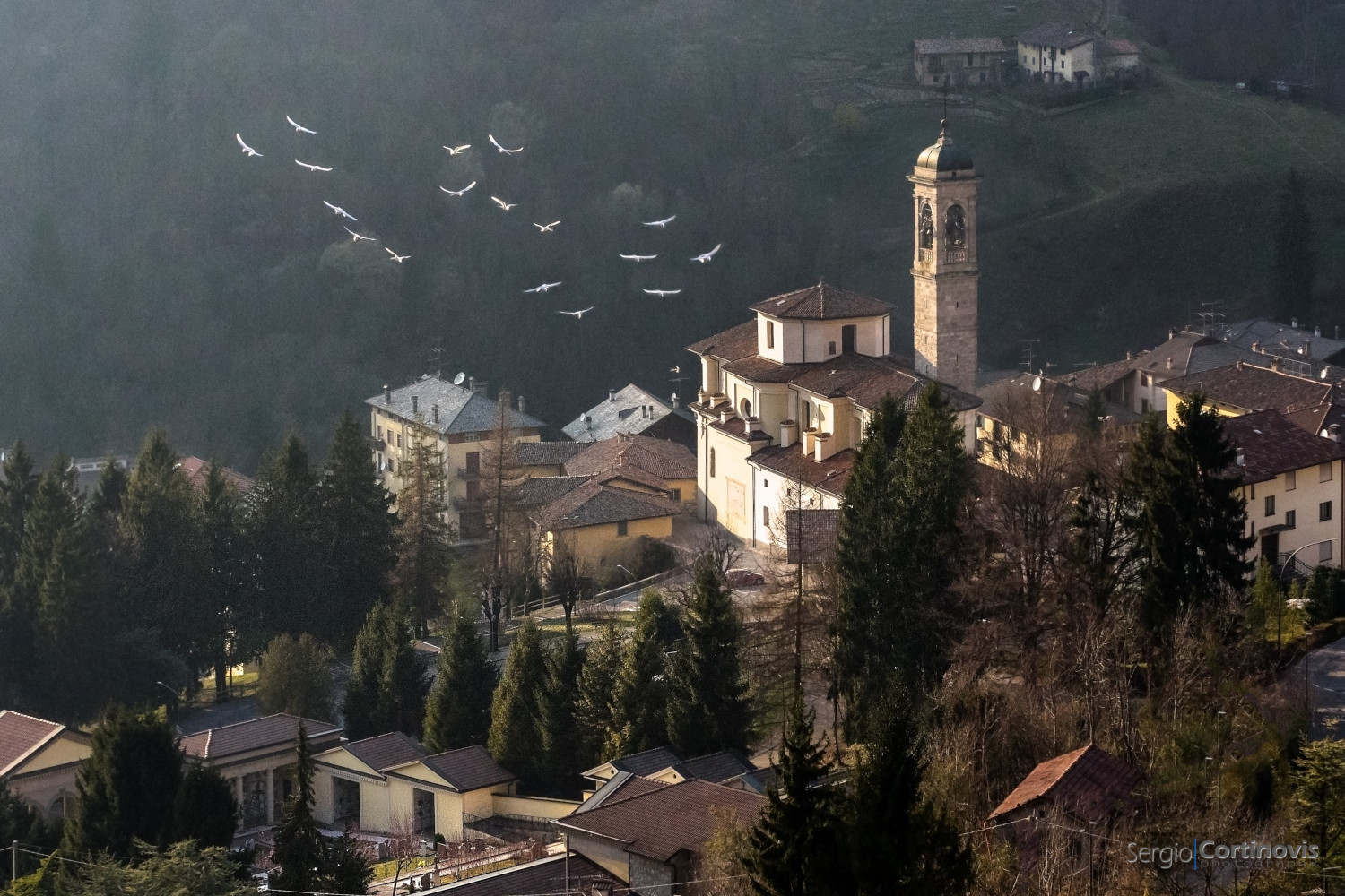 Un gruppo di colombe bianche vola vicino ad un campanile a Serina