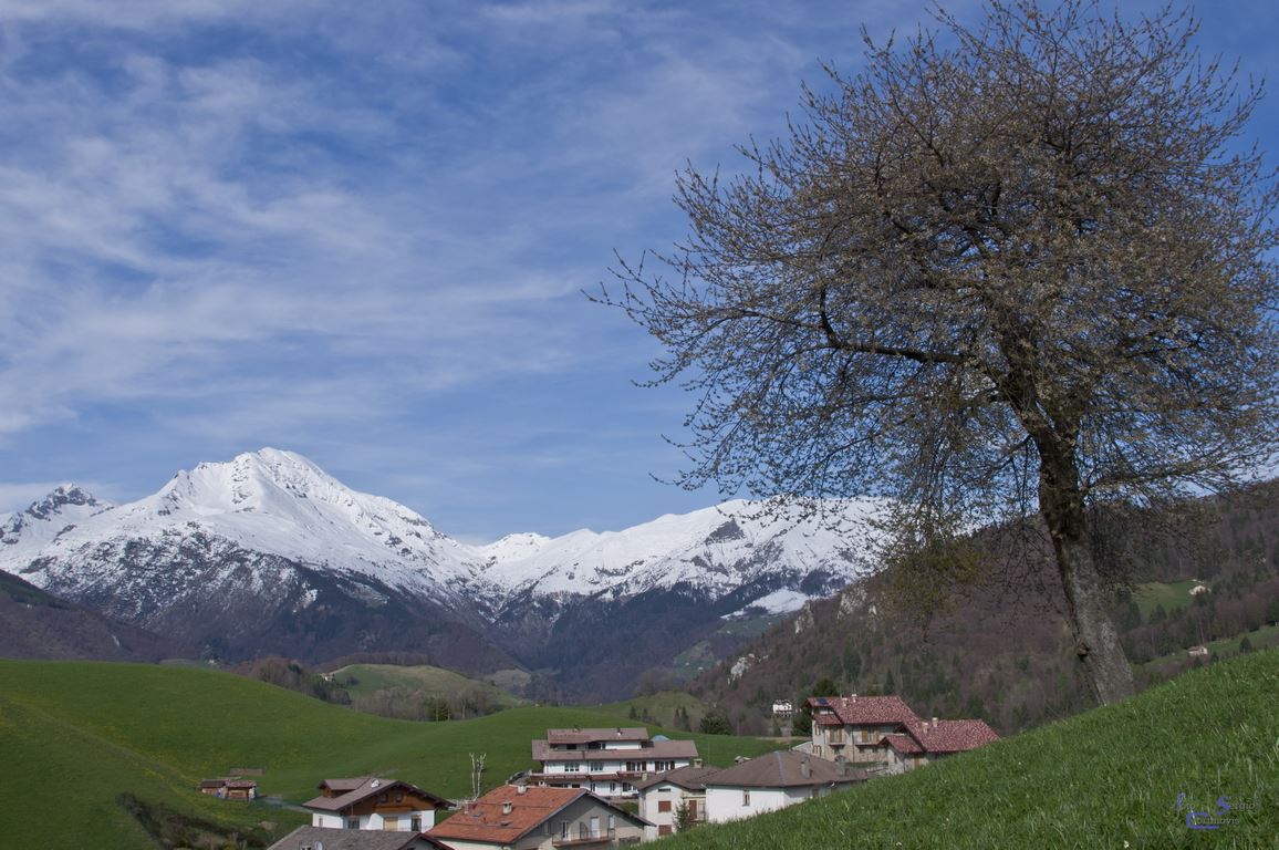 Monte Arera innevato visto da Valpiana