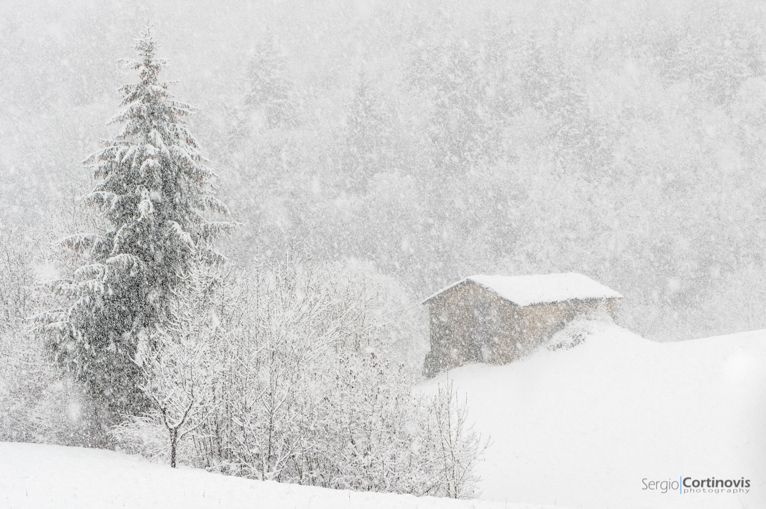 Nevicata a Serina - Valle Brembana