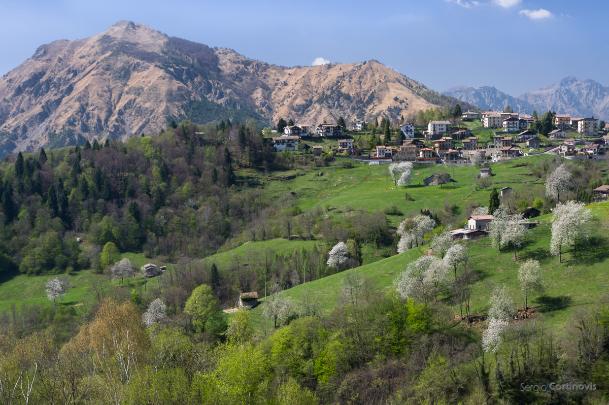 Primavera in Valle Serina: in primo piano Cornalba con i Ciliegi in fiore, sullo sfondo il monte Zucco