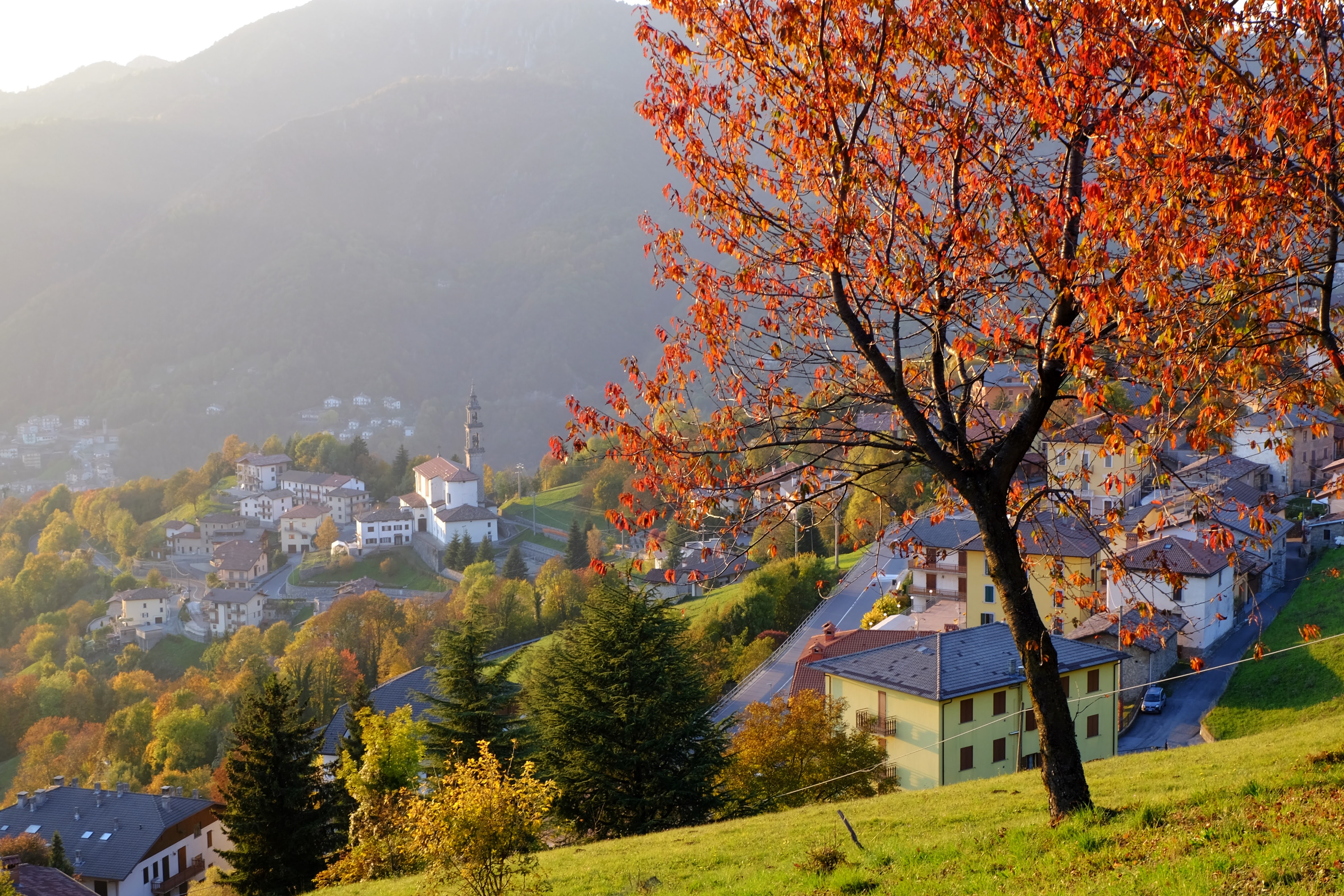 Un albero dalle foglie rosse illuminato in un tramonto a Costa Serina, sullo sfondo il paese con la Chiesa dedicata a San Lorenzo